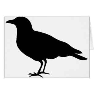 black crow