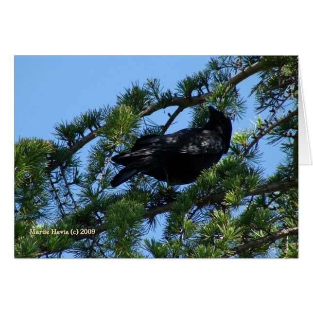 Black Crow (1a) - Customizable (Front Horizontal)