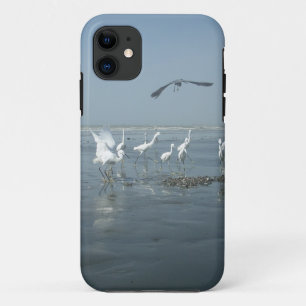 Black Crow and White Cranes: A Contrast in Nature iPhone 11 Case