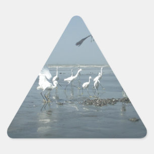 Black Crow and White Cranes: A Contrast in Nature Triangle Sticker