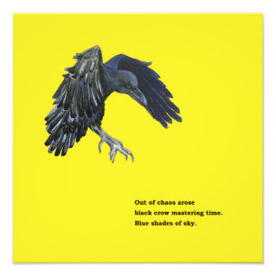 Black Crow & Haiku  Photo Print