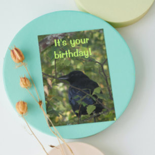 Black Crow in Tree Photo Carte d'anniversaire
