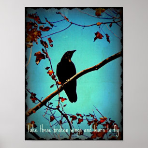 Black Crow On Tree Branch Original Photo Design Poster