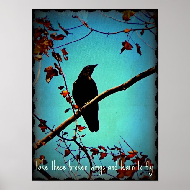 Black Crow On Tree Branch Original Photo Design Poster (Front)