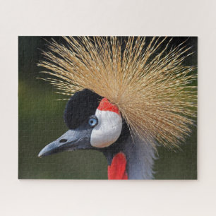 Black crowned crane jigsaw puzzle