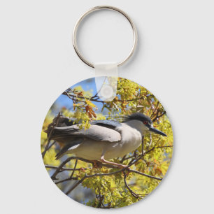 Black crowned Night Heron keychain