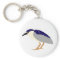 Black crowned night heron