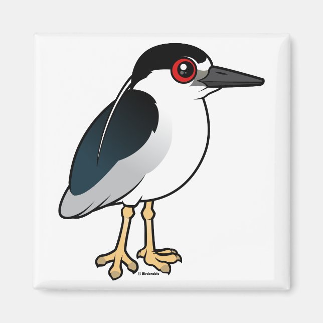 Black-crowned Night Heron Magnet (Front)
