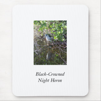 Black-Crowned Night Heron Mouse Pad