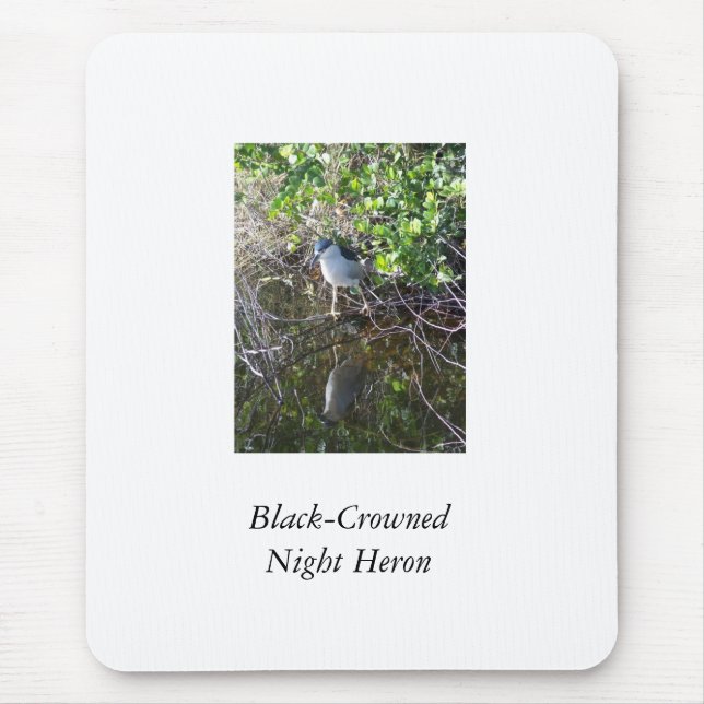Black-Crowned Night Heron Mouse Pad (Front)