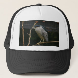 Black-crowned Night Heron Trucker Hat