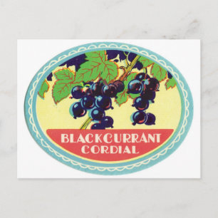 Black Currant Cordial Dark Berries Vintage Label Postcard