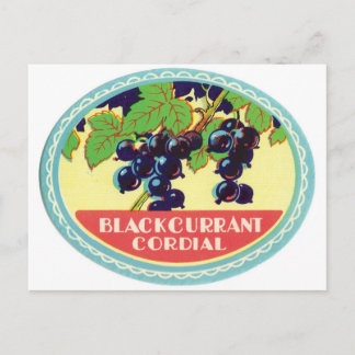Black Currant Cordial Dark Berries Vintage Label Postcard