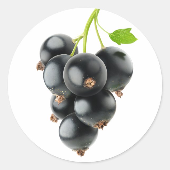 Black currants classic round sticker (Front)