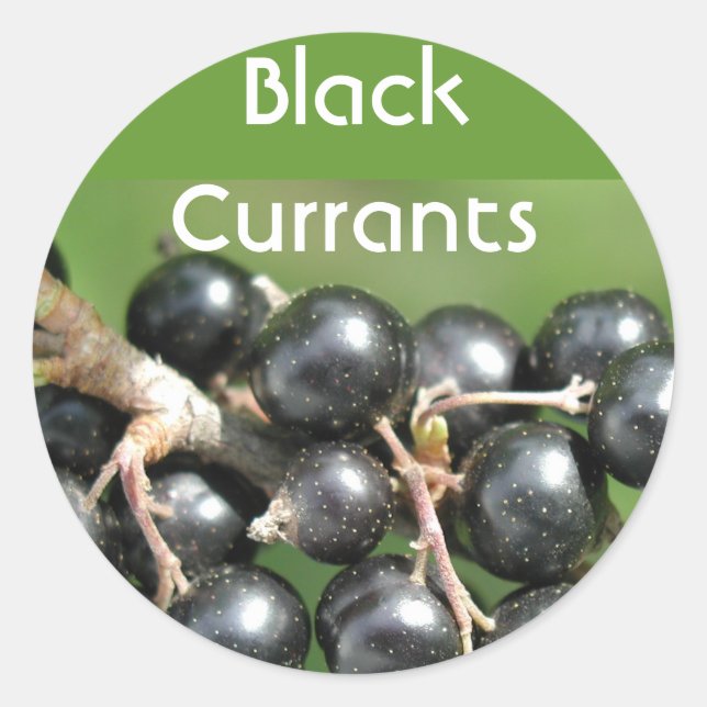 Black Currants stickers (Front)