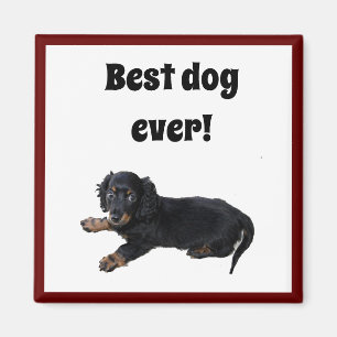 Black Dachshund Cocker Spaniel Puppy Photograph Magnet