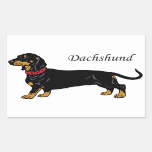 black dachshund sticker