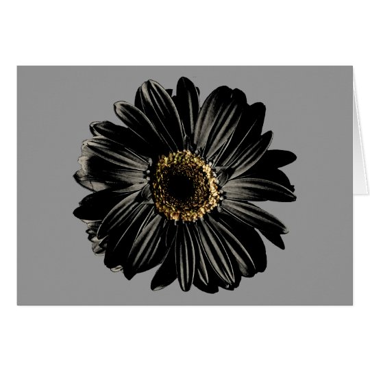 Black Daisy Card