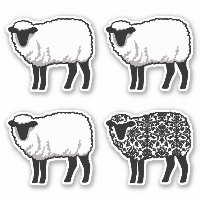 Black Damask Sheep (Front)