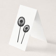 black dandelions