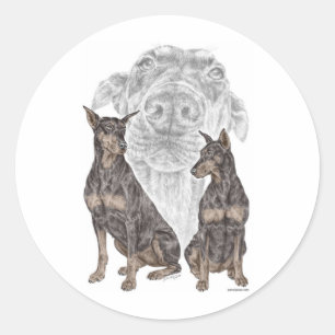 Black Doberman Dogs Classic Round Sticker