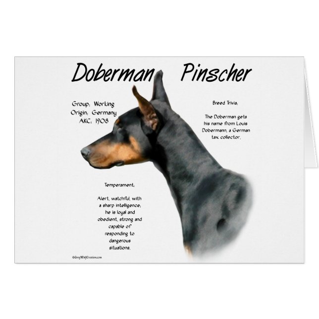 Black Doberman Pinscher History  (Front Horizontal)
