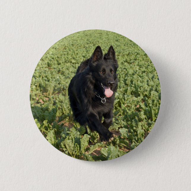 Black Dog 2 Inch Round Button (Front)