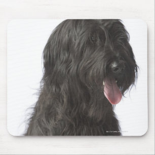 Black dog, Briard Mouse Pad