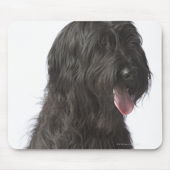 Black dog, Briard Mouse Pad (Front)