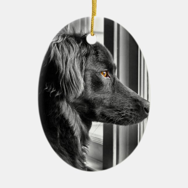 Black dog ceramic ornament (Front)