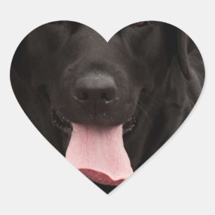 Black dog face heart sticker