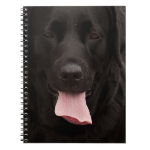Black dog face notebook