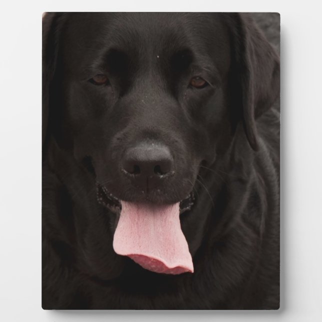 Black dog face plaque (Front)