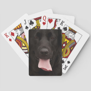 Black dog face playing cards