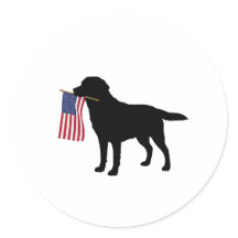 Black Dog Holding American Flag – July 4th