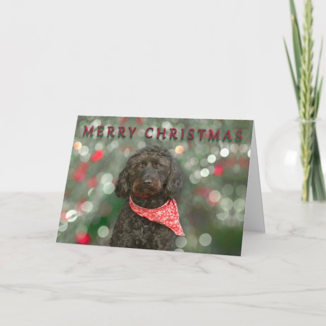 black dog labradoodle Christmas Card (Front)