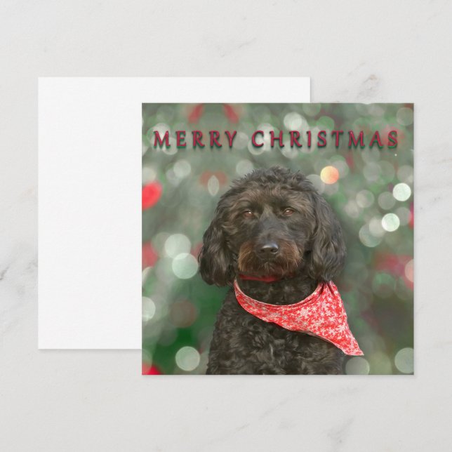 black dog labradoodle Christmas Card (Front/Back)