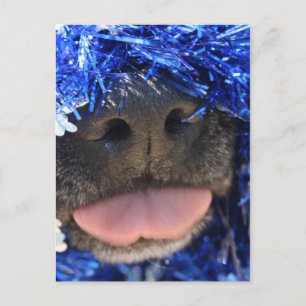Black Dog Nose with Blue Tinsel Tongue Out Postcard