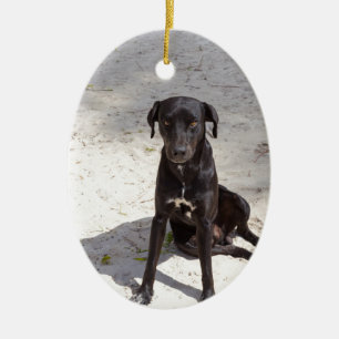Black dog with an evil eye ceramic ornament