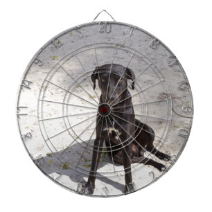 Black dog with an evil eye dartboard