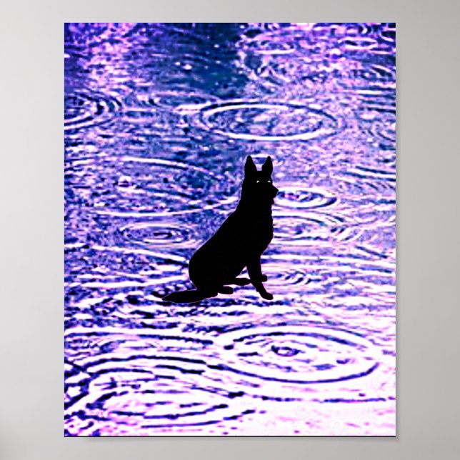 Black dog with piercing eyes poster (Front)