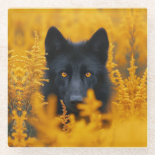 Black Dog with Stunning Gold Eyes Glass Coaster