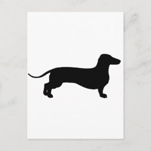 Black Doxie Postcard