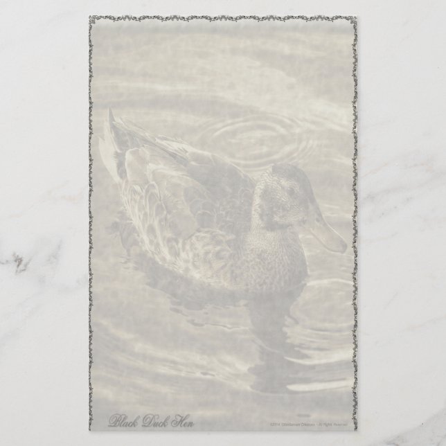 Black Duck Hen Custom Stationery (Front)
