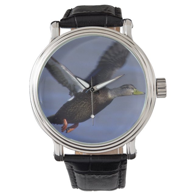 Black Duck Watch (Front)