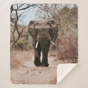 BLACK ELEPHANT WALKING ON BROWN SAND SHERPA BLANKET