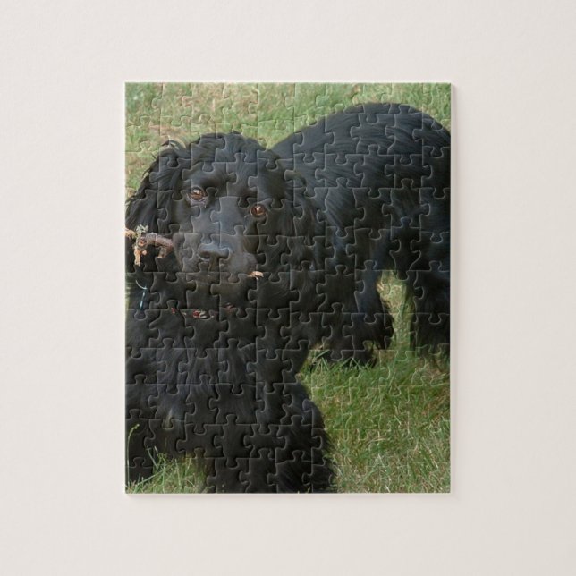 black English cocker Spain full 2 Jigsaw Puzzle (Vertical)