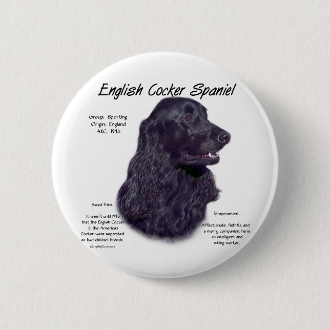 Black English Cocker Spaniel History  2 Inch Round Button (Front)