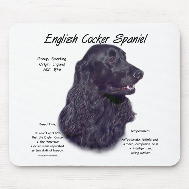 Black English Cocker Spaniel History  Mouse Pad (Front)