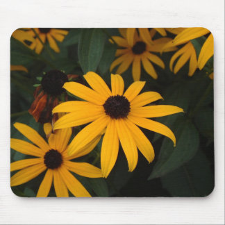 Black Eye Susan mousepad